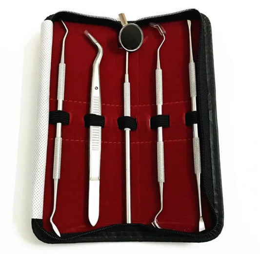 Dental Tools Oral Care Set with Stainless Steel Instruments